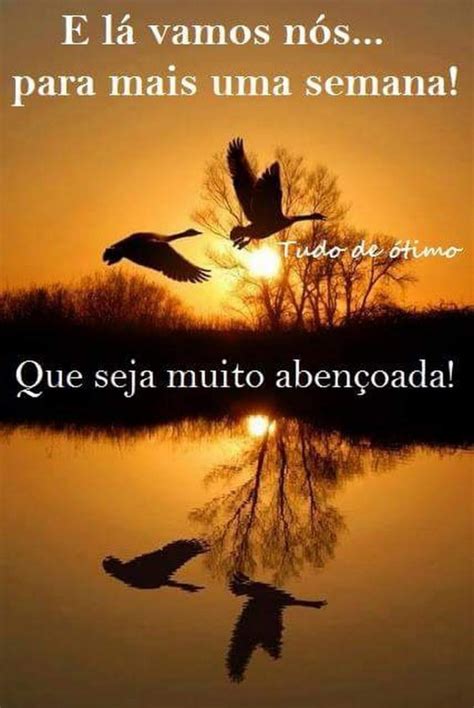 boa semana frases curtas